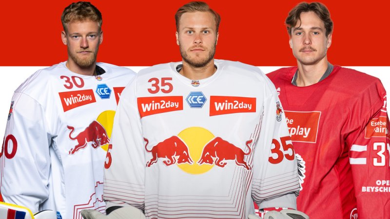 Reinhard Divis: Seine Einschätzung zu Österreichs Torhütern