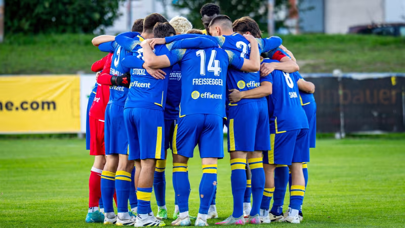 Stripfing: Sie haben es nicht für Kirisits getan