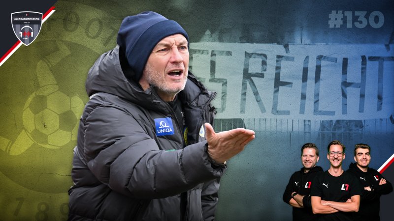 Vienna: Von der Krise in die Krise