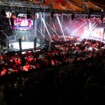 Patrik Rainer über sein Leben als MMA-Kämpfer und Rapid-Ultra