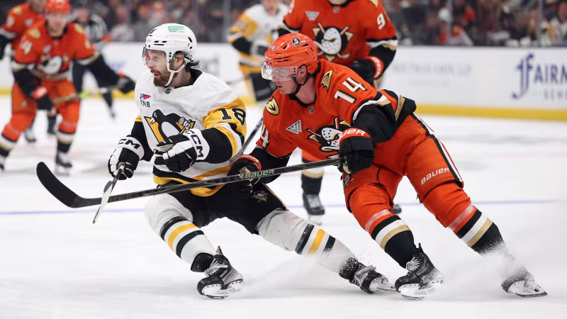 Buzzer Beater! Anaheim Ducks mit Last-Second-Ausgleich