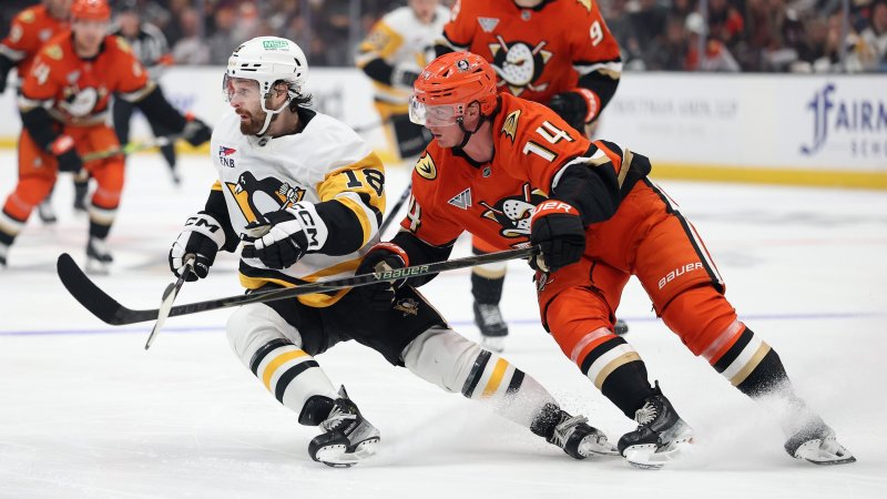 Buzzer Beater! Anaheim Ducks mit Last-Second-Ausgleich