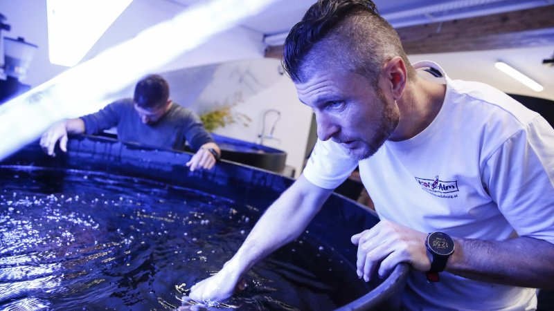 Hirscher holt Ex-ÖSV-Star als Markenbotschafter ins Boot