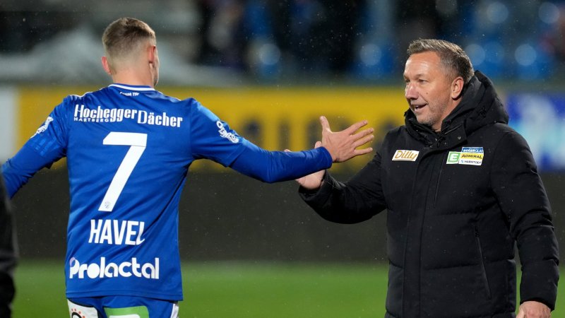 Elias Havel: Diese Rolle sieht Hartberg für seinen Topstürmer