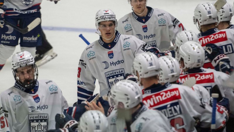 ICE Hockey League LIVE: Konferenz mit Fehervar-Pioneers