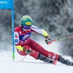 Bitter! Scheib scheidet bei Hector-Sieg aus