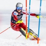 Hundertstelkrieg im Stangenwald