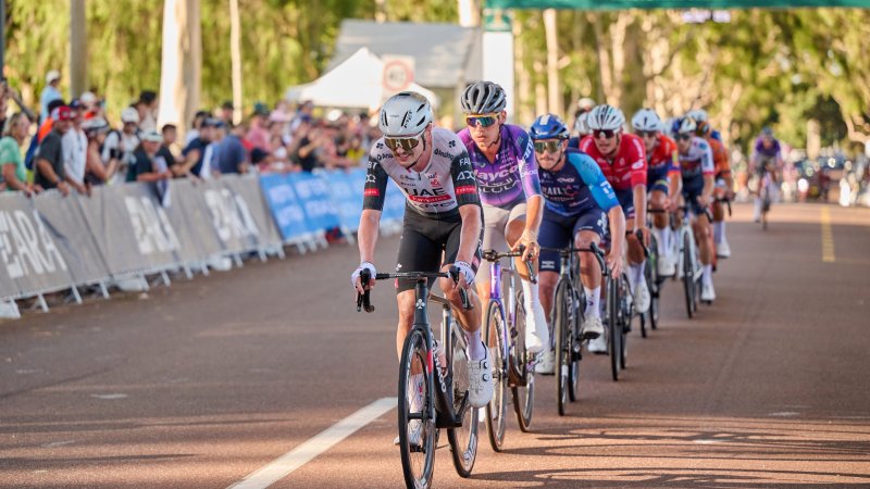 Känguru-Kollision bei Tour Down Under: Beide Fahrer mit Brüchen