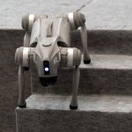 Bei Fußball-WM: Roboter-Hunde unterstützen mexikanische Polizei