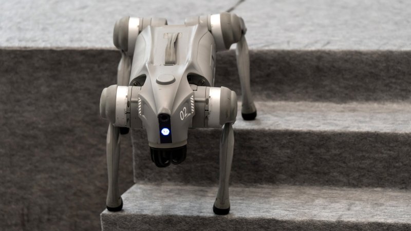 Bei Fußball-WM: Roboter-Hunde unterstützen mexikanische Polizei