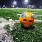 Helfer gesucht! Hartberg und Vienna brauchen Schneeschaufler