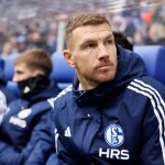 Nach Einspruch: DFB verringert Dzeko-Sperre