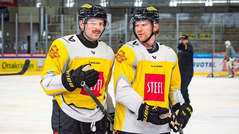 Nur mit ein paar Leiberl ans andere Ende Österreichs