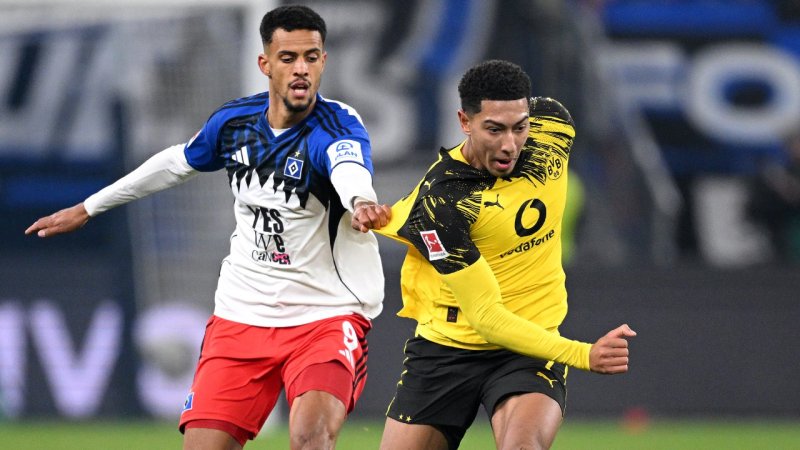 Deutsche Bundesliga LIVE: Borussia Dortmund - HSV