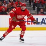 Kasper verpasst mit Red Wings erneut die Playoffs
