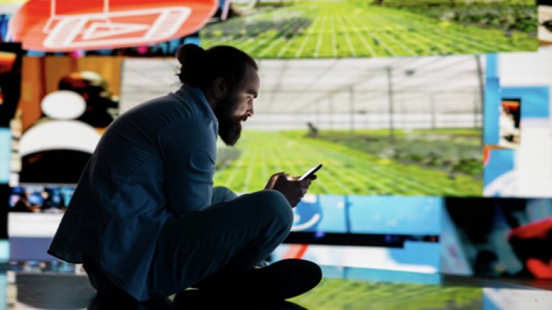 Warum Sportfans Wahrscheinlichkeiten lieben