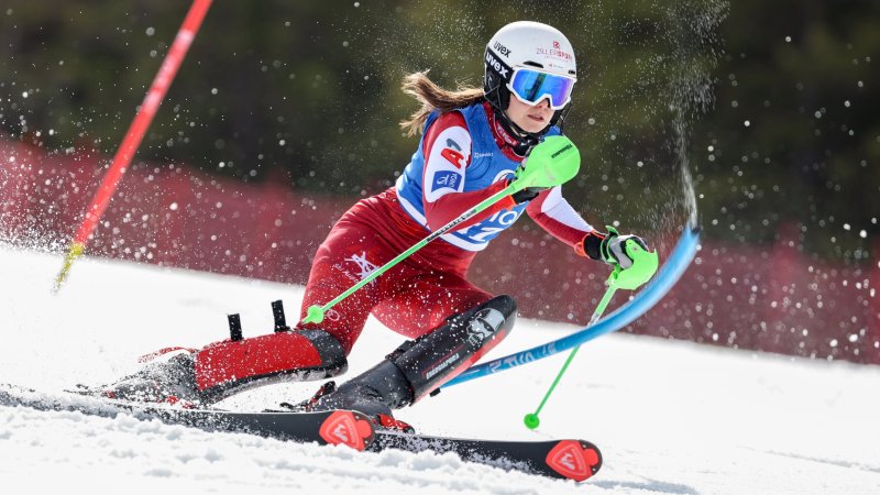 Alle Österreichischen Ski-Meister:innen 2026