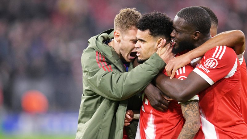 Trimmel: "Mein Beileid an alle, die das nicht gesehen haben"