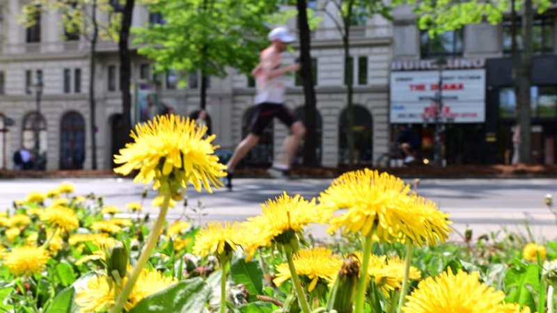 Wien-Marathon 2026 - die besten Bilder des Lauf-Fests