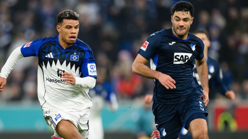 Deutsche Bundesliga LIVE: HSV - TSG Hoffenheim