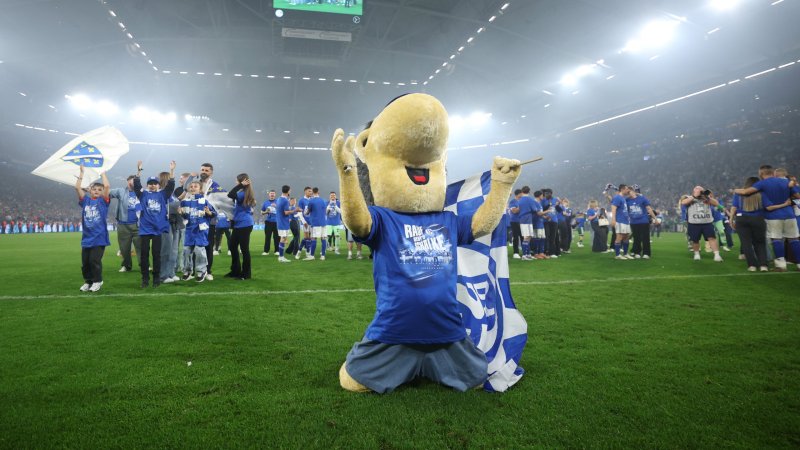 Ex-Rapid-Coach bewarb sich für Schalke-Posten - Wurde abgelehnt
