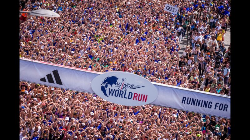 Wings for Life Run - Eindrucksvolle Bilder aus Wien
