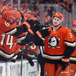 Anaheim Ducks gleichen in Playoff-Serie aus