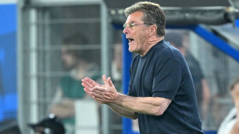 Nach Wolfsburg-Abstieg: Trainer Hecking erhält "Beförderung"