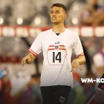 Warum Ljubicics Einberufung Sinn macht