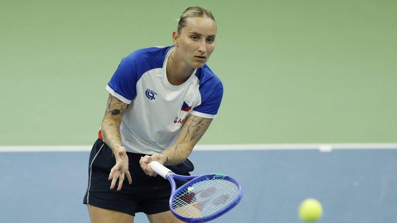 Verweigerter Dopingtest: Ex-Wimbledon-Champ vier Jahre gesperrt