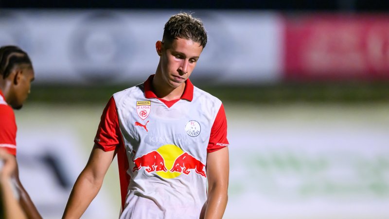 Salzburg gibt Verteidiger nach Ungarn ab
