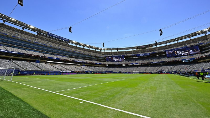 FIFA verkauft Final-Rasen um rund 390 Euro