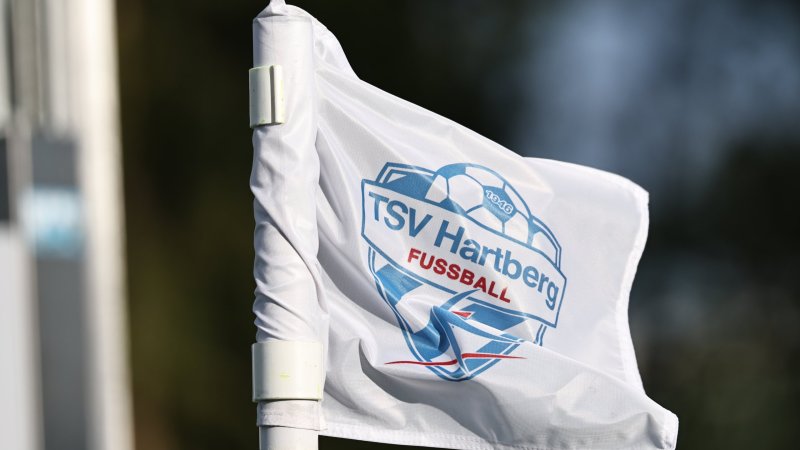 Hartberg verstärkt sich mit Offensivmann