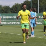 SW Bregenz holt Spieler von Norwich City