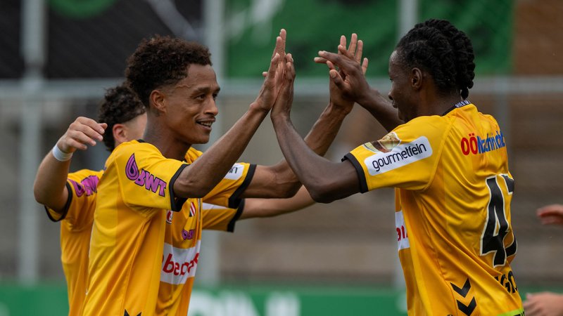 "Wir machen das zusammen" - Ried-Coach stärkt VAR den Rücken