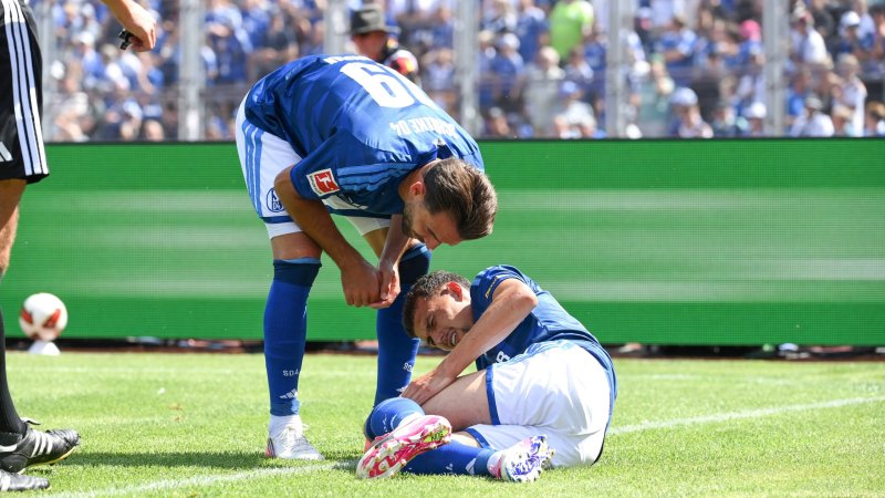 ÖFB-Kicker bei S04 im Fokus: Adamu trifft, Ljubicic muss runter