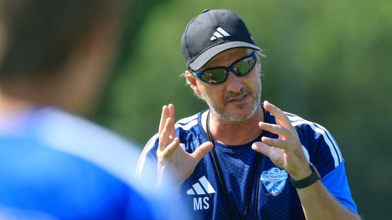 "Total interessanter Spieler" - Bedient sich Hartberg bei Rapid?