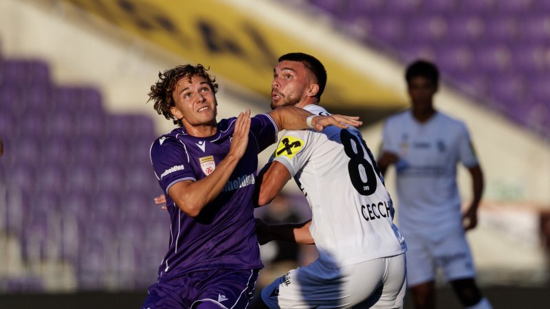 2. Liga im LIVE-Stream: Young Violets - SW Bregenz