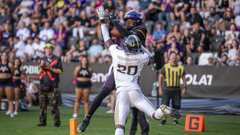 Vienna Vikings erreichen AFLE-Finale!