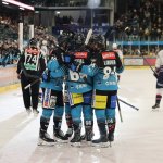 Black Wings Linz: Wie gut funktioniert der Umbruch?