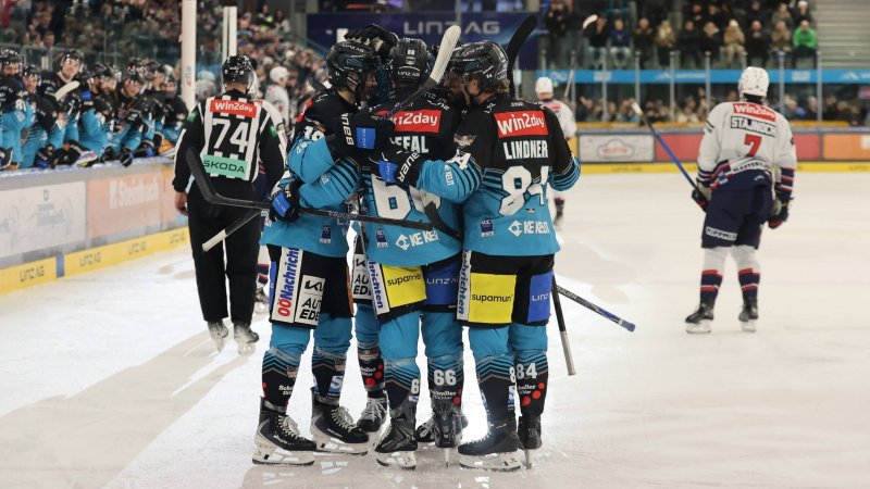 Black Wings Linz: Wie gut funktioniert der Umbruch?
