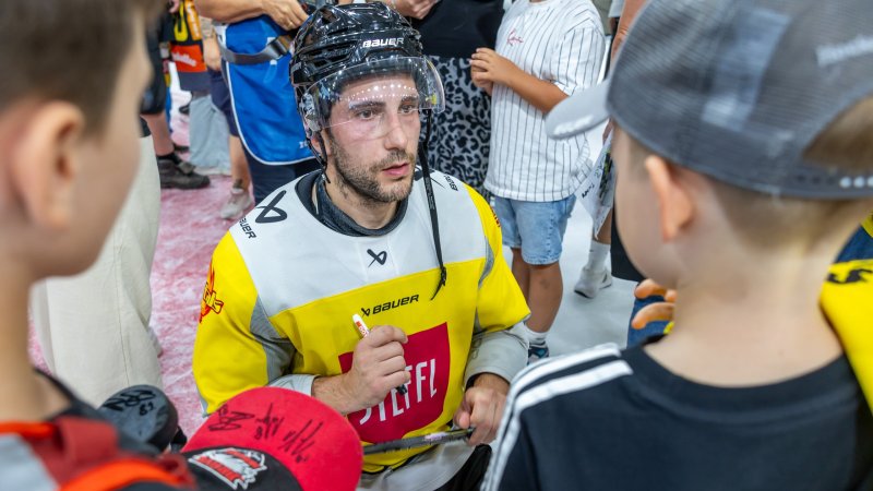 Komarek: "Ich wollte unbedingt in Wien spielen, nirgends anders"