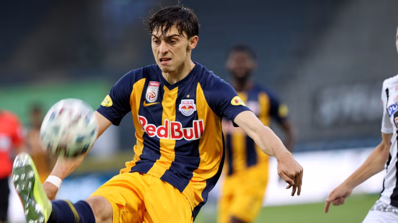 Sie spielten für Sturm Graz und Red Bull Salzburg