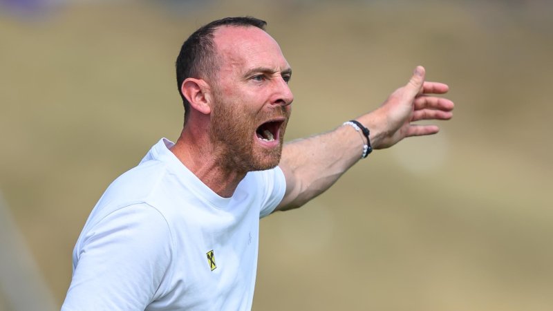 FC Hertha Wels schmeißt Trainer Heinle raus