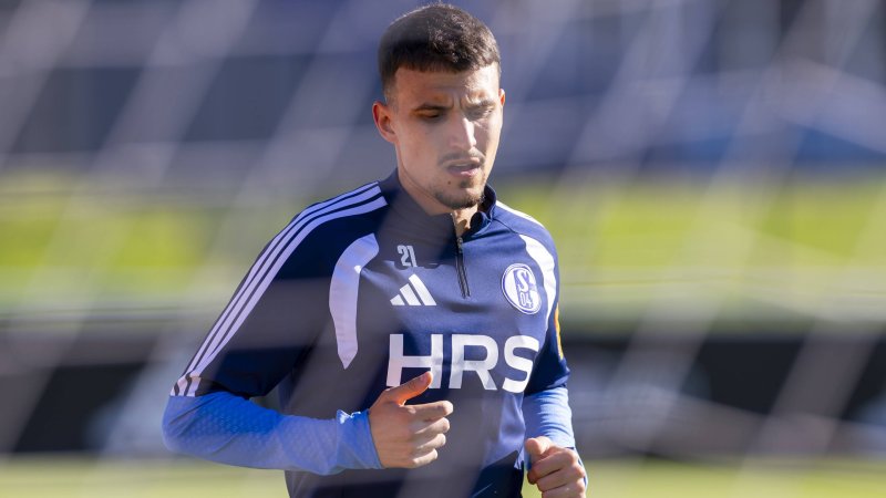 Schalke 04: Muslic begrüßt ÖFB-Legionär Ljubicic zurück am Platz