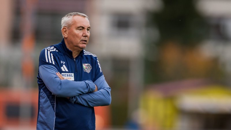 So denkt Peter Pacult über Rapid
