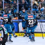 Black Wings Linz: Warum die Bäume nicht in den Himmel sprießen