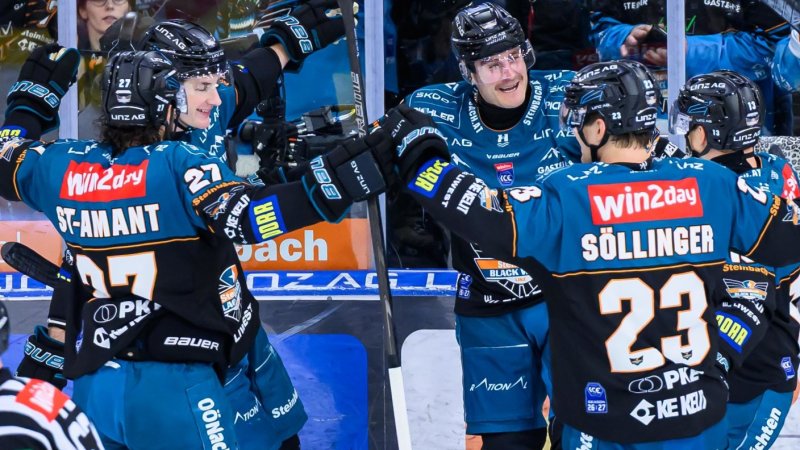 Black Wings Linz: Warum die Bäume nicht in den Himmel sprießen