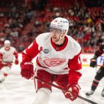 Red Wings verlieren ohne weiterhin verletzten Kasper