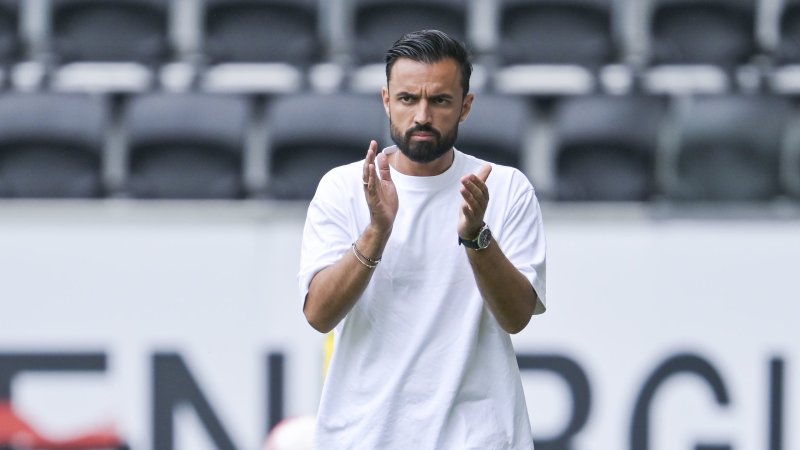 Ex-Vienna-Coach wechselt zu Partizan Belgrad
